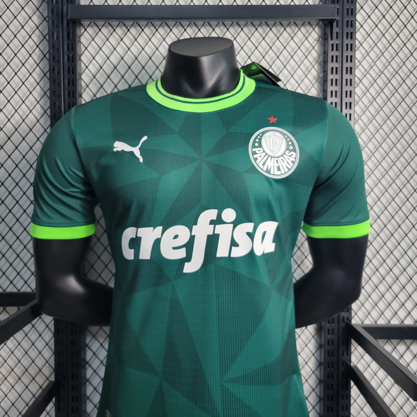 Camisa Palmeiras II 23/24 Jogador Masculina