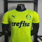 Camisa Palmeiras II 23/24 Jogador Masculina