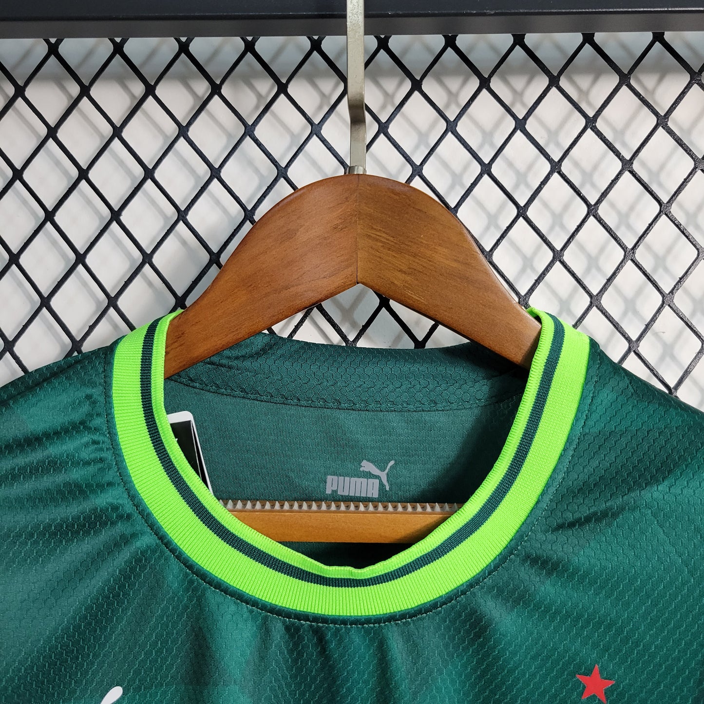 Camisa Palmeiras I 23/24 Torcedor Feminina