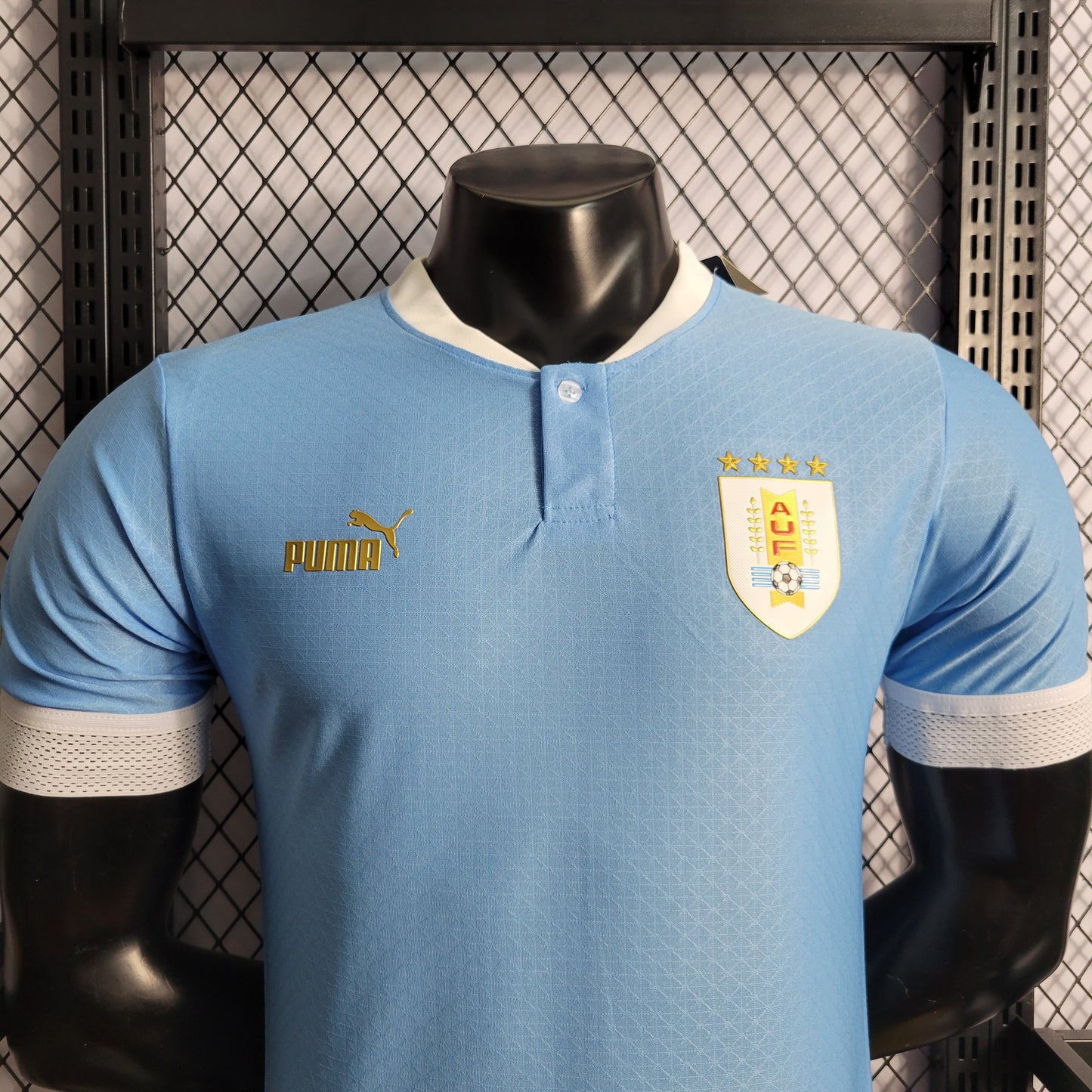 Camisa Uruguay | 22/23 Jogador