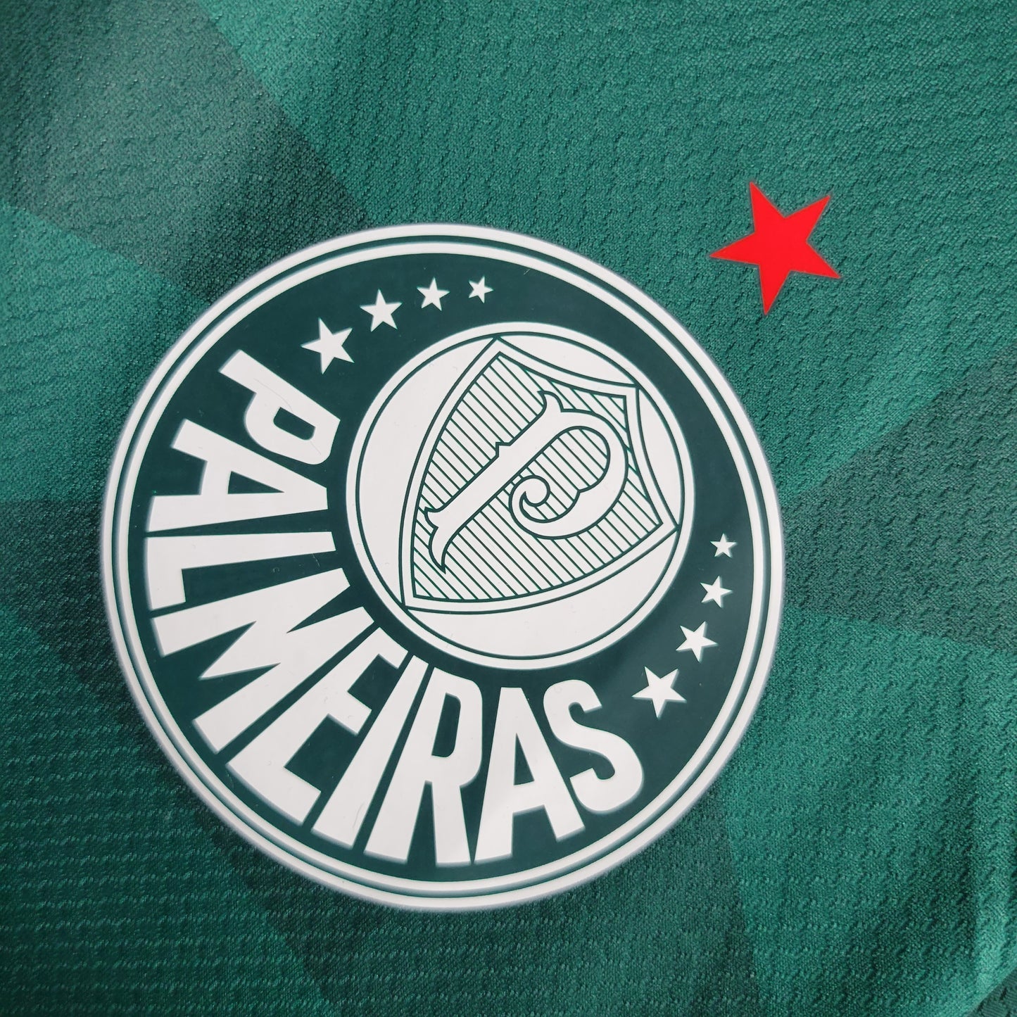 Camisa Palmeiras I 23/24 Torcedor Masculina